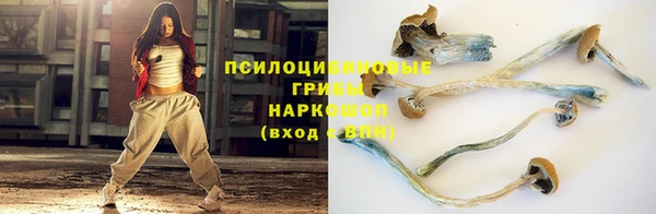 a pvp Абдулино